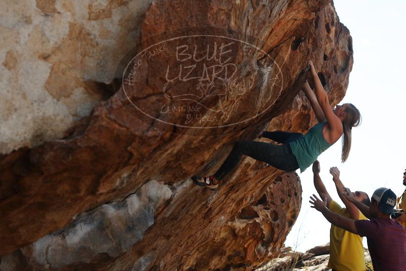 Bouldering in Hueco Tanks on 11/11/2018 with Blue Lizard Climbing and Yoga

Filename: SRM_20181111_1214550.jpg
Aperture: f/4.0
Shutter Speed: 1/1250
Body: Canon EOS-1D Mark II
Lens: Canon EF 50mm f/1.8 II