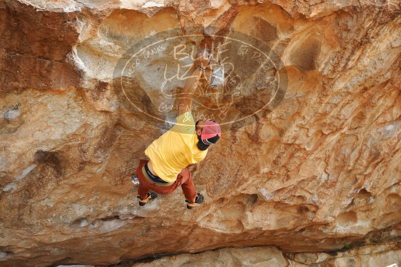 Bouldering in Hueco Tanks on 11/11/2018 with Blue Lizard Climbing and Yoga
Filename: SRM_20181111_1307560.jpg
Aperture: f/4.0
Shutter Speed: 1/500
Body: Canon EOS-1D Mark II
Lens: Canon EF 50mm f/1.8 II