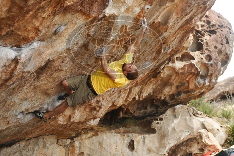 Bouldering in Hueco Tanks on 11/11/2018 with Blue Lizard Climbing and Yoga

Filename: SRM_20181111_1313150.jpg
Aperture: f/4.0
Shutter Speed: 1/400
Body: Canon EOS-1D Mark II
Lens: Canon EF 50mm f/1.8 II