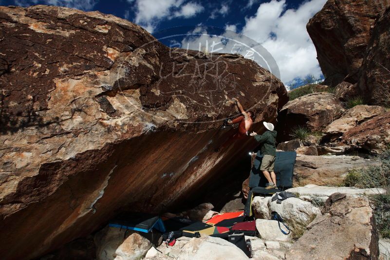 Bouldering in Hueco Tanks on 11/11/2018 with Blue Lizard Climbing and Yoga

Filename: SRM_20181111_1342550.jpg
Aperture: f/8.0
Shutter Speed: 1/250
Body: Canon EOS-1D Mark II
Lens: Canon EF 16-35mm f/2.8 L