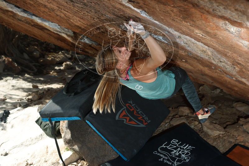 Bouldering in Hueco Tanks on 11/11/2018 with Blue Lizard Climbing and Yoga
Filename: SRM_20181111_1357250.jpg
Aperture: f/5.0
Shutter Speed: 1/250
Body: Canon EOS-1D Mark II
Lens: Canon EF 50mm f/1.8 II