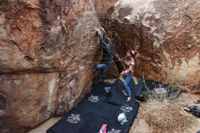 Bouldering in Hueco Tanks on 11/24/2018 with Blue Lizard Climbing and Yoga

Filename: SRM_20181124_1023010.jpg
Aperture: f/4.5
Shutter Speed: 1/250
Body: Canon EOS-1D Mark II
Lens: Canon EF 16-35mm f/2.8 L