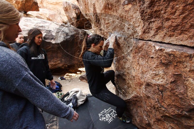 Bouldering in Hueco Tanks on 11/24/2018 with Blue Lizard Climbing and Yoga
Filename: SRM_20181124_1111050.jpg
Aperture: f/4.0
Shutter Speed: 1/250
Body: Canon EOS-1D Mark II
Lens: Canon EF 16-35mm f/2.8 L