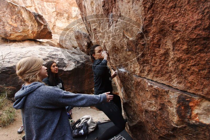 Bouldering in Hueco Tanks on 11/24/2018 with Blue Lizard Climbing and Yoga

Filename: SRM_20181124_1111200.jpg
Aperture: f/5.0
Shutter Speed: 1/250
Body: Canon EOS-1D Mark II
Lens: Canon EF 16-35mm f/2.8 L