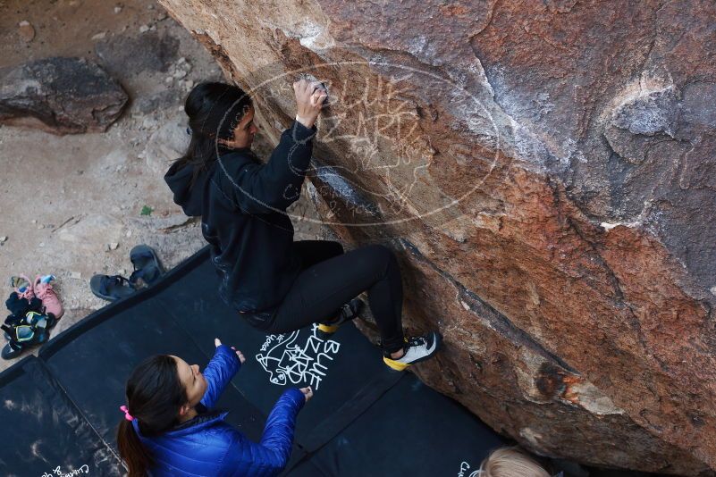 Bouldering in Hueco Tanks on 11/24/2018 with Blue Lizard Climbing and Yoga
Filename: SRM_20181124_1146540.jpg
Aperture: f/4.0
Shutter Speed: 1/250
Body: Canon EOS-1D Mark II
Lens: Canon EF 50mm f/1.8 II