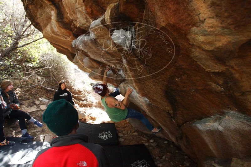 Bouldering in Hueco Tanks on 11/24/2018 with Blue Lizard Climbing and Yoga

Filename: SRM_20181124_1152211.jpg
Aperture: f/4.0
Shutter Speed: 1/320
Body: Canon EOS-1D Mark II
Lens: Canon EF 16-35mm f/2.8 L