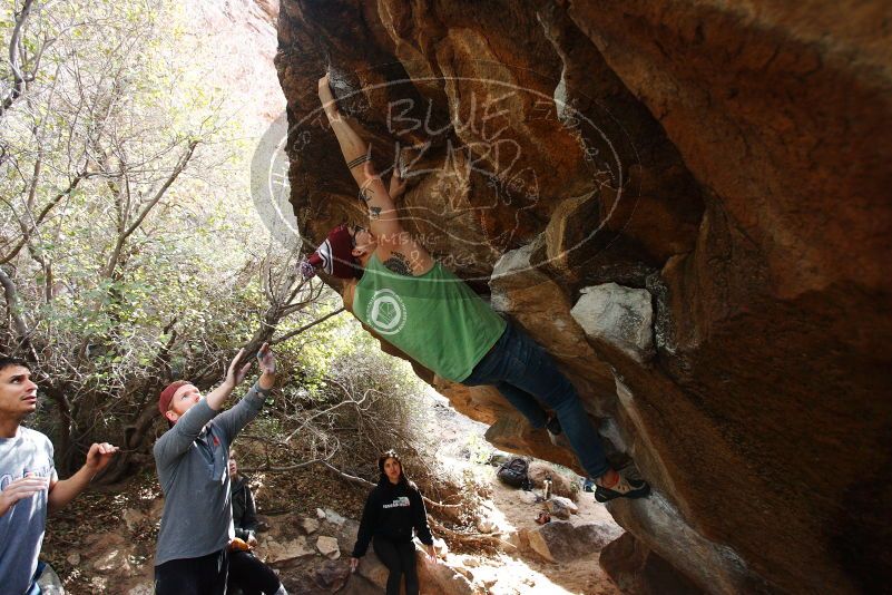Bouldering in Hueco Tanks on 11/24/2018 with Blue Lizard Climbing and Yoga
Filename: SRM_20181124_1152580.jpg
Aperture: f/4.0
Shutter Speed: 1/500
Body: Canon EOS-1D Mark II
Lens: Canon EF 16-35mm f/2.8 L