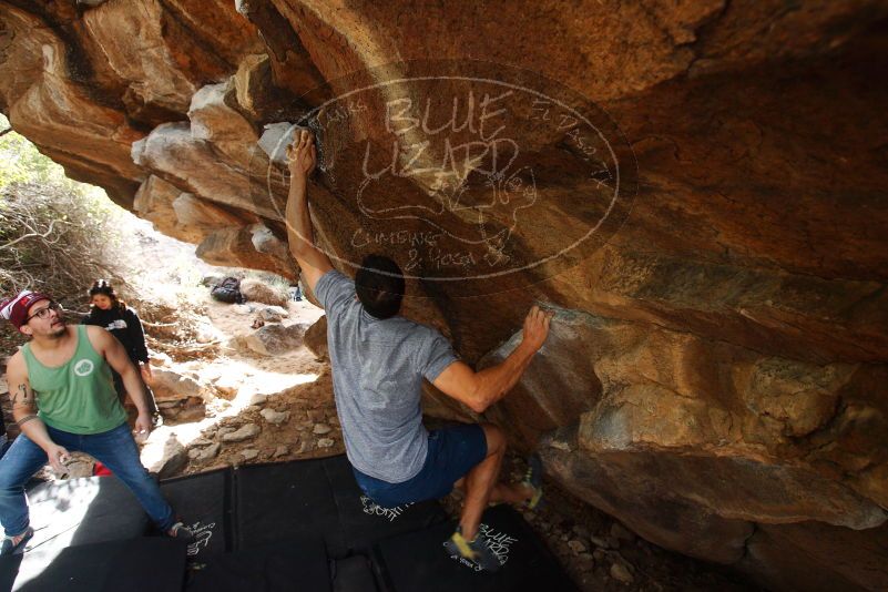 Bouldering in Hueco Tanks on 11/24/2018 with Blue Lizard Climbing and Yoga
Filename: SRM_20181124_1158300.jpg
Aperture: f/5.0
Shutter Speed: 1/250
Body: Canon EOS-1D Mark II
Lens: Canon EF 16-35mm f/2.8 L