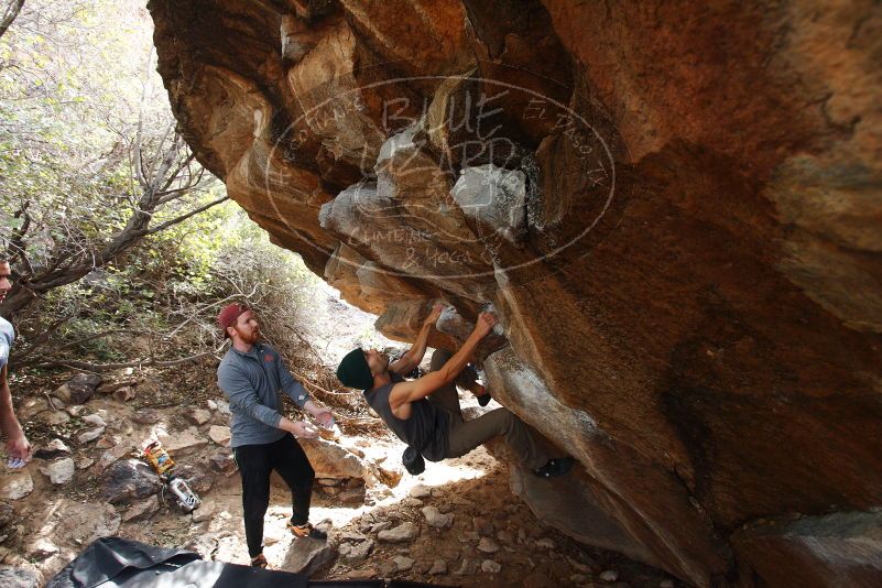 Bouldering in Hueco Tanks on 11/24/2018 with Blue Lizard Climbing and Yoga

Filename: SRM_20181124_1202120.jpg
Aperture: f/4.5
Shutter Speed: 1/250
Body: Canon EOS-1D Mark II
Lens: Canon EF 16-35mm f/2.8 L