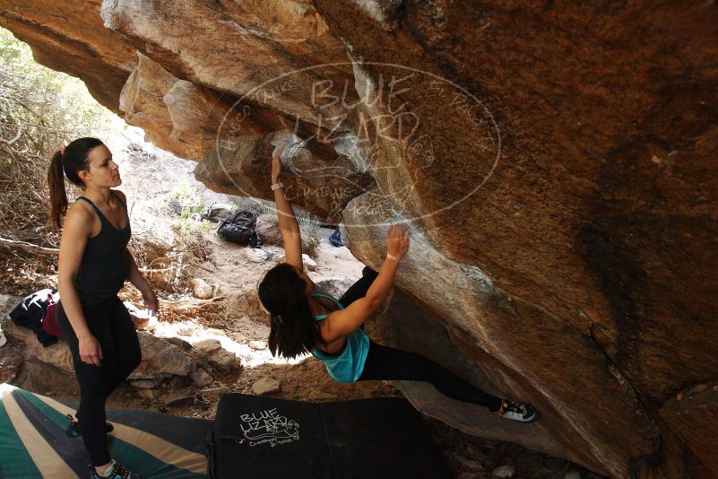 Bouldering in Hueco Tanks on 11/24/2018 with Blue Lizard Climbing and Yoga
Filename: SRM_20181124_1239400.jpg
Aperture: f/6.3
Shutter Speed: 1/200
Body: Canon EOS-1D Mark II
Lens: Canon EF 16-35mm f/2.8 L
