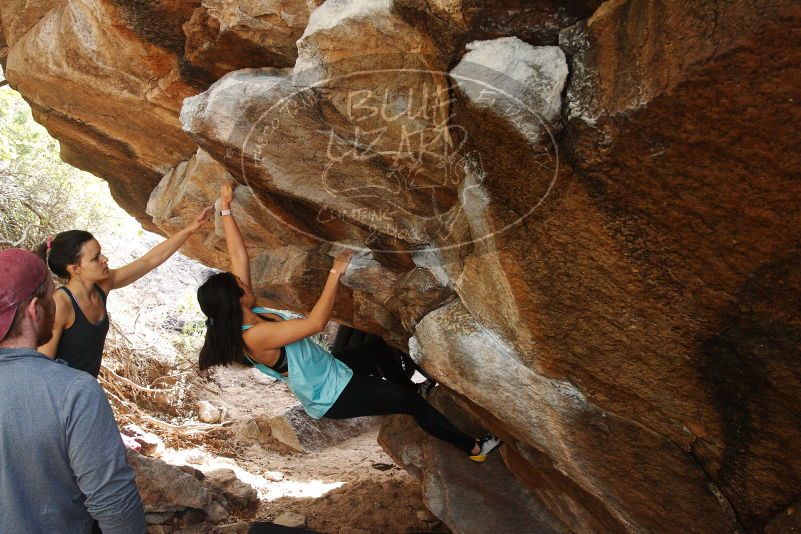 Bouldering in Hueco Tanks on 11/24/2018 with Blue Lizard Climbing and Yoga
Filename: SRM_20181124_1239480.jpg
Aperture: f/6.3
Shutter Speed: 1/200
Body: Canon EOS-1D Mark II
Lens: Canon EF 16-35mm f/2.8 L