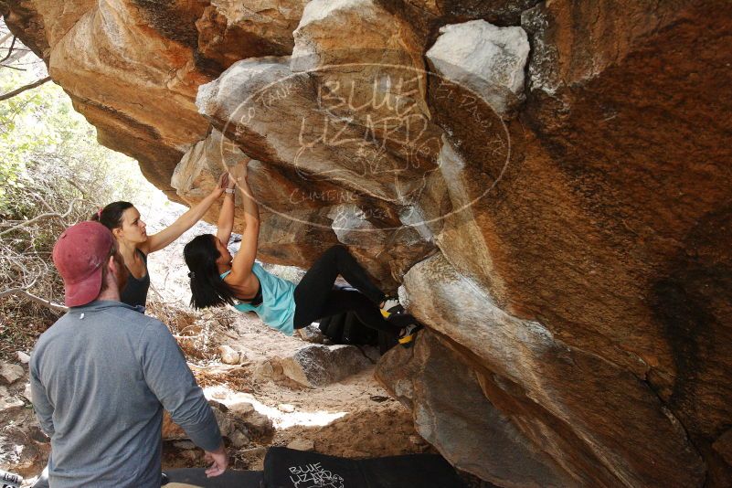 Bouldering in Hueco Tanks on 11/24/2018 with Blue Lizard Climbing and Yoga
Filename: SRM_20181124_1239510.jpg
Aperture: f/5.6
Shutter Speed: 1/200
Body: Canon EOS-1D Mark II
Lens: Canon EF 16-35mm f/2.8 L