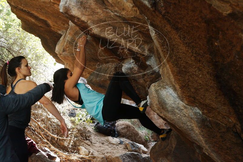 Bouldering in Hueco Tanks on 11/24/2018 with Blue Lizard Climbing and Yoga

Filename: SRM_20181124_1243070.jpg
Aperture: f/5.0
Shutter Speed: 1/320
Body: Canon EOS-1D Mark II
Lens: Canon EF 50mm f/1.8 II