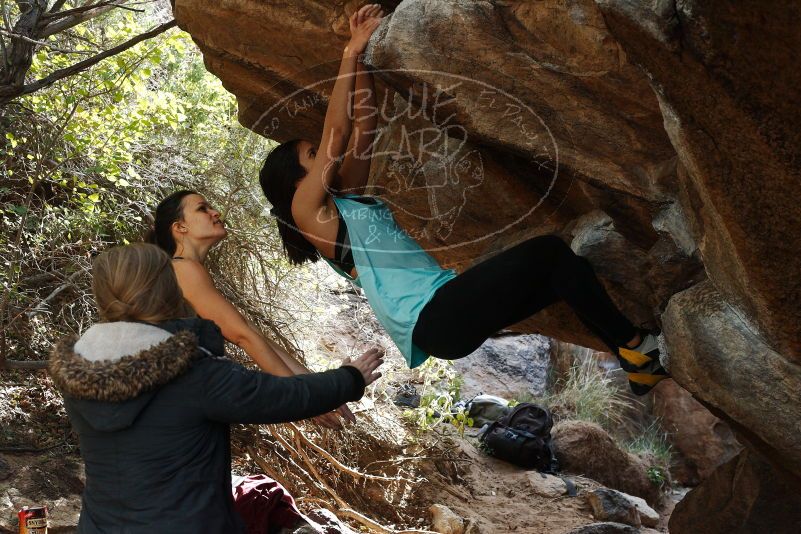 Bouldering in Hueco Tanks on 11/24/2018 with Blue Lizard Climbing and Yoga

Filename: SRM_20181124_1243121.jpg
Aperture: f/5.6
Shutter Speed: 1/320
Body: Canon EOS-1D Mark II
Lens: Canon EF 50mm f/1.8 II