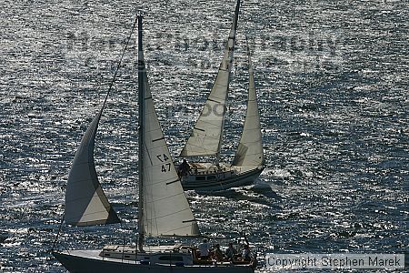 

Filename: img_0218_std.jpg
Aperture: f/13.0
Shutter Speed: 1/400
Body: Canon EOS DIGITAL REBEL
Lens: Canon EF 80-200mm f/2.8 L