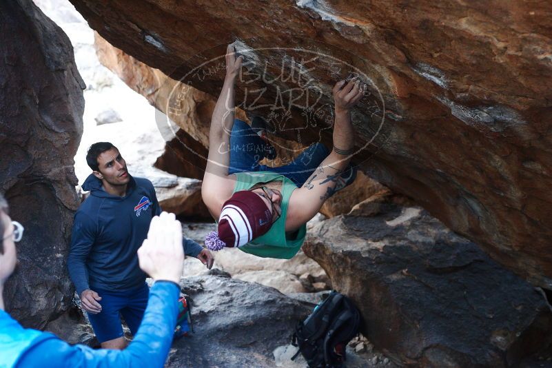 Bouldering in Hueco Tanks on 11/24/2018 with Blue Lizard Climbing and Yoga
Filename: SRM_20181124_1609060.jpg
Aperture: f/4.0
Shutter Speed: 1/250
Body: Canon EOS-1D Mark II
Lens: Canon EF 50mm f/1.8 II