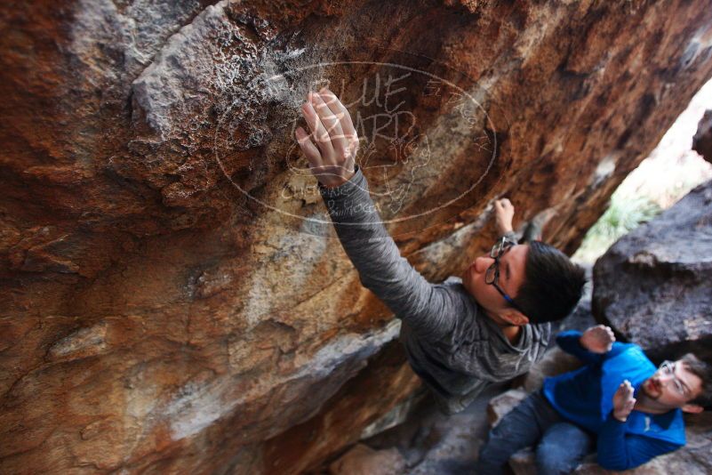 Bouldering in Hueco Tanks on 11/24/2018 with Blue Lizard Climbing and Yoga
Filename: SRM_20181124_1623500.jpg
Aperture: f/2.8
Shutter Speed: 1/250
Body: Canon EOS-1D Mark II
Lens: Canon EF 16-35mm f/2.8 L