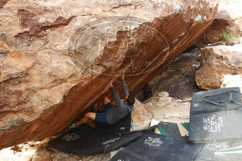 Bouldering in Hueco Tanks on 11/24/2018 with Blue Lizard Climbing and Yoga

Filename: SRM_20181124_1657130.jpg
Aperture: f/5.0
Shutter Speed: 1/250
Body: Canon EOS-1D Mark II
Lens: Canon EF 16-35mm f/2.8 L