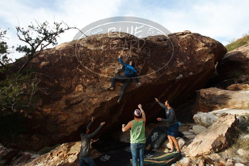 Bouldering in Hueco Tanks on 11/24/2018 with Blue Lizard Climbing and Yoga
Filename: SRM_20181124_1709400.jpg
Aperture: f/10.0
Shutter Speed: 1/250
Body: Canon EOS-1D Mark II
Lens: Canon EF 16-35mm f/2.8 L