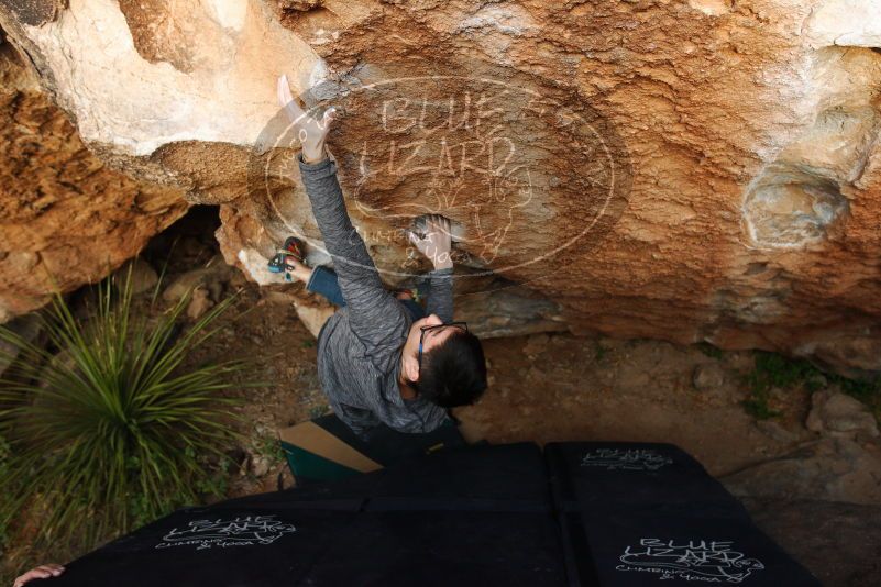 Bouldering in Hueco Tanks on 11/24/2018 with Blue Lizard Climbing and Yoga

Filename: SRM_20181124_1737270.jpg
Aperture: f/4.0
Shutter Speed: 1/250
Body: Canon EOS-1D Mark II
Lens: Canon EF 16-35mm f/2.8 L