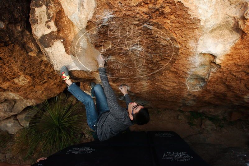 Bouldering in Hueco Tanks on 11/24/2018 with Blue Lizard Climbing and Yoga
Filename: SRM_20181124_1737310.jpg
Aperture: f/6.3
Shutter Speed: 1/250
Body: Canon EOS-1D Mark II
Lens: Canon EF 16-35mm f/2.8 L