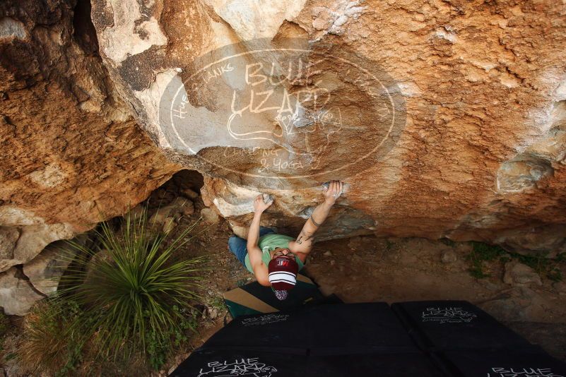 Bouldering in Hueco Tanks on 11/24/2018 with Blue Lizard Climbing and Yoga

Filename: SRM_20181124_1741210.jpg
Aperture: f/4.5
Shutter Speed: 1/250
Body: Canon EOS-1D Mark II
Lens: Canon EF 16-35mm f/2.8 L