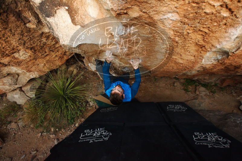 Bouldering in Hueco Tanks on 11/24/2018 with Blue Lizard Climbing and Yoga
Filename: SRM_20181124_1743070.jpg
Aperture: f/4.5
Shutter Speed: 1/250
Body: Canon EOS-1D Mark II
Lens: Canon EF 16-35mm f/2.8 L