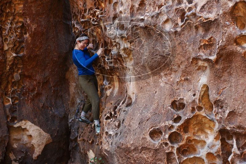 Bouldering in Hueco Tanks on 11/23/2018 with Blue Lizard Climbing and Yoga

Filename: SRM_20181123_1108310.jpg
Aperture: f/2.8
Shutter Speed: 1/160
Body: Canon EOS-1D Mark II
Lens: Canon EF 50mm f/1.8 II