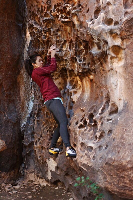 Bouldering in Hueco Tanks on 11/23/2018 with Blue Lizard Climbing and Yoga
Filename: SRM_20181123_1114590.jpg
Aperture: f/3.2
Shutter Speed: 1/100
Body: Canon EOS-1D Mark II
Lens: Canon EF 50mm f/1.8 II