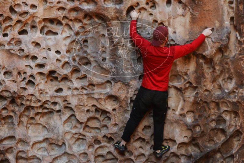 Bouldering in Hueco Tanks on 11/23/2018 with Blue Lizard Climbing and Yoga
Filename: SRM_20181123_1115460.jpg
Aperture: f/3.2
Shutter Speed: 1/250
Body: Canon EOS-1D Mark II
Lens: Canon EF 50mm f/1.8 II