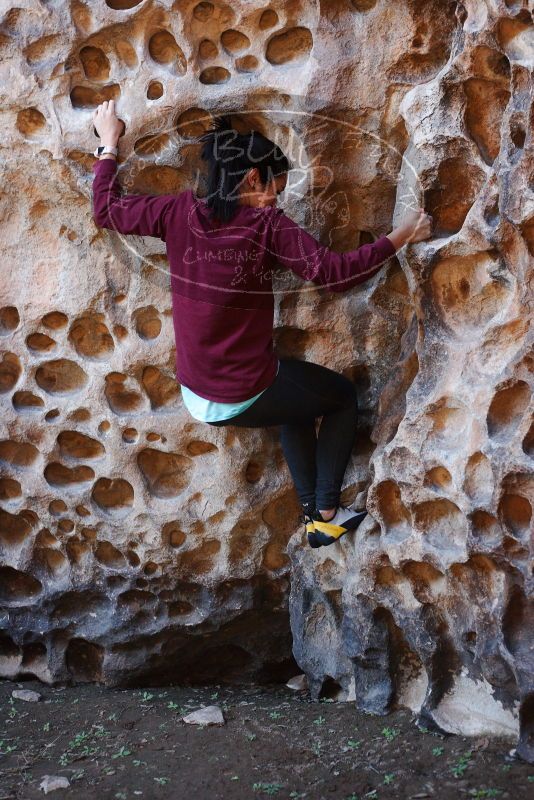 Bouldering in Hueco Tanks on 11/23/2018 with Blue Lizard Climbing and Yoga
Filename: SRM_20181123_1116250.jpg
Aperture: f/3.2
Shutter Speed: 1/125
Body: Canon EOS-1D Mark II
Lens: Canon EF 50mm f/1.8 II