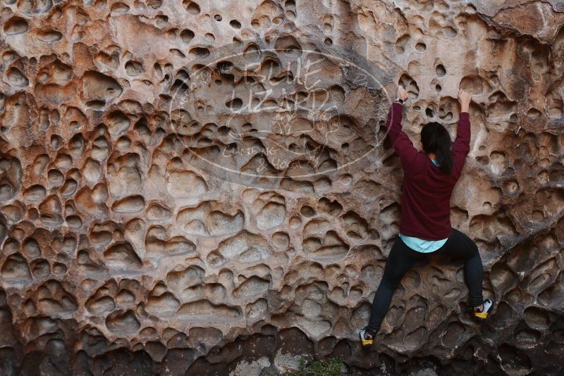 Bouldering in Hueco Tanks on 11/23/2018 with Blue Lizard Climbing and Yoga
Filename: SRM_20181123_1117250.jpg
Aperture: f/3.2
Shutter Speed: 1/250
Body: Canon EOS-1D Mark II
Lens: Canon EF 50mm f/1.8 II