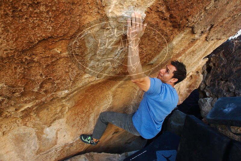 Bouldering in Hueco Tanks on 11/23/2018 with Blue Lizard Climbing and Yoga
Filename: SRM_20181123_1315500.jpg
Aperture: f/5.6
Shutter Speed: 1/400
Body: Canon EOS-1D Mark II
Lens: Canon EF 16-35mm f/2.8 L
