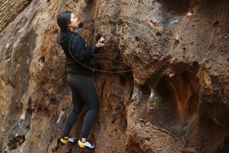 Bouldering in Hueco Tanks on 11/23/2018 with Blue Lizard Climbing and Yoga
Filename: SRM_20181123_1644190.jpg
Aperture: f/2.8
Shutter Speed: 1/100
Body: Canon EOS-1D Mark II
Lens: Canon EF 50mm f/1.8 II
