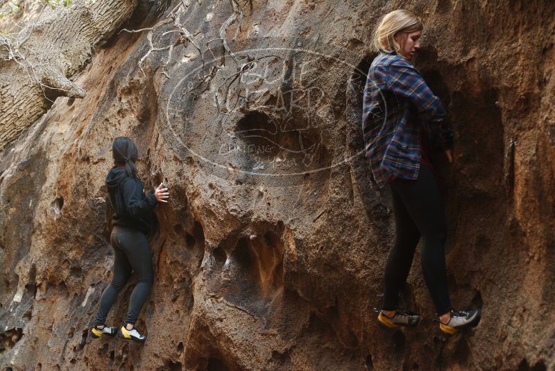 Bouldering in Hueco Tanks on 11/23/2018 with Blue Lizard Climbing and Yoga
Filename: SRM_20181123_1644310.jpg
Aperture: f/2.8
Shutter Speed: 1/100
Body: Canon EOS-1D Mark II
Lens: Canon EF 50mm f/1.8 II