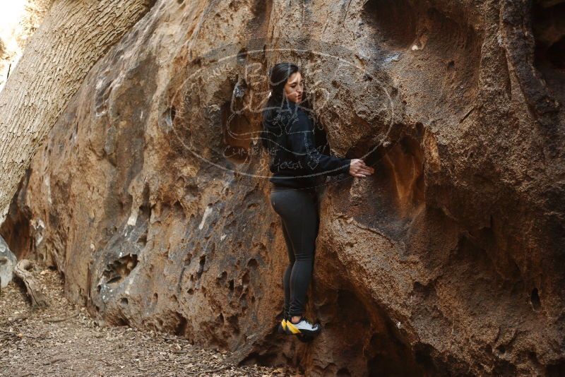 Bouldering in Hueco Tanks on 11/23/2018 with Blue Lizard Climbing and Yoga
Filename: SRM_20181123_1645130.jpg
Aperture: f/2.8
Shutter Speed: 1/100
Body: Canon EOS-1D Mark II
Lens: Canon EF 50mm f/1.8 II