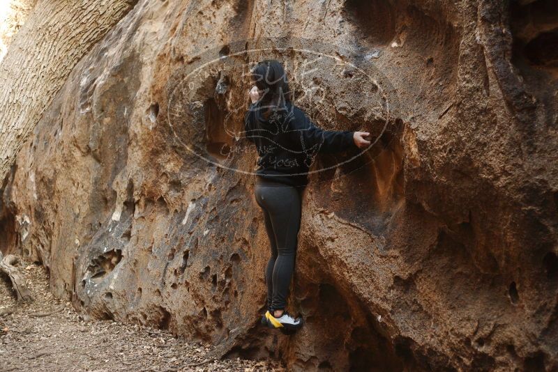 Bouldering in Hueco Tanks on 11/23/2018 with Blue Lizard Climbing and Yoga

Filename: SRM_20181123_1645140.jpg
Aperture: f/2.8
Shutter Speed: 1/100
Body: Canon EOS-1D Mark II
Lens: Canon EF 50mm f/1.8 II