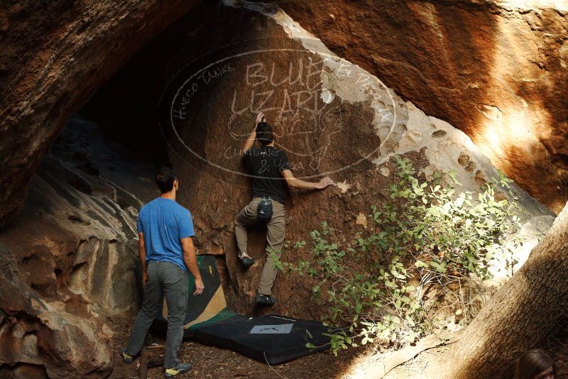 Bouldering in Hueco Tanks on 11/23/2018 with Blue Lizard Climbing and Yoga
Filename: SRM_20181123_1653140.jpg
Aperture: f/5.6
Shutter Speed: 1/160
Body: Canon EOS-1D Mark II
Lens: Canon EF 50mm f/1.8 II