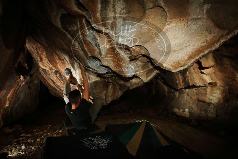 Bouldering in Hueco Tanks on 11/23/2018 with Blue Lizard Climbing and Yoga

Filename: SRM_20181123_1714450.jpg
Aperture: f/8.0
Shutter Speed: 1/250
Body: Canon EOS-1D Mark II
Lens: Canon EF 16-35mm f/2.8 L