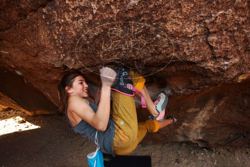 Bouldering in Hueco Tanks on 11/22/2018 with Blue Lizard Climbing and Yoga
Filename: SRM_20181122_1026210.jpg
Aperture: f/5.6
Shutter Speed: 1/160
Body: Canon EOS-1D Mark II
Lens: Canon EF 16-35mm f/2.8 L