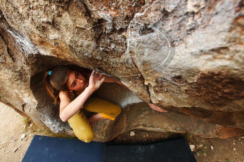 Bouldering in Hueco Tanks on 11/22/2018 with Blue Lizard Climbing and Yoga

Filename: SRM_20181122_1136270.jpg
Aperture: f/5.6
Shutter Speed: 1/400
Body: Canon EOS-1D Mark II
Lens: Canon EF 16-35mm f/2.8 L