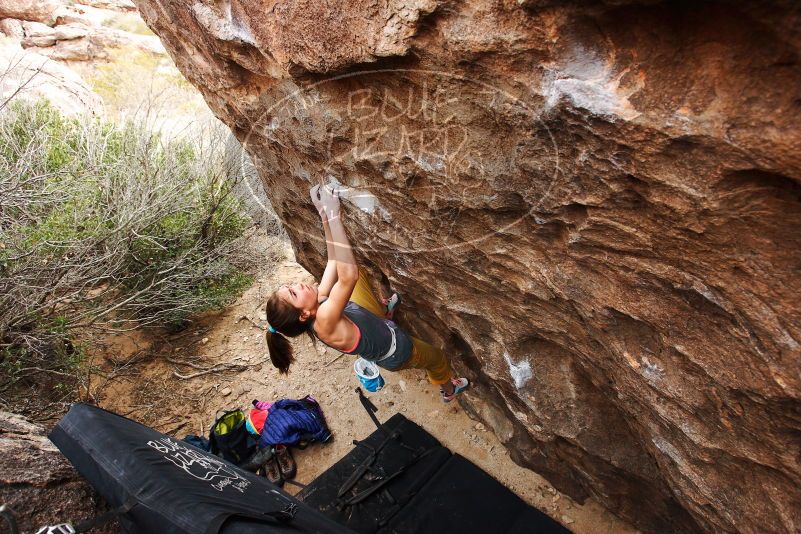 Bouldering in Hueco Tanks on 11/22/2018 with Blue Lizard Climbing and Yoga
Filename: SRM_20181122_1246060.jpg
Aperture: f/5.6
Shutter Speed: 1/320
Body: Canon EOS-1D Mark II
Lens: Canon EF 16-35mm f/2.8 L