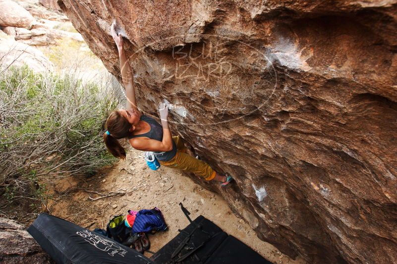 Bouldering in Hueco Tanks on 11/22/2018 with Blue Lizard Climbing and Yoga

Filename: SRM_20181122_1246070.jpg
Aperture: f/5.6
Shutter Speed: 1/400
Body: Canon EOS-1D Mark II
Lens: Canon EF 16-35mm f/2.8 L