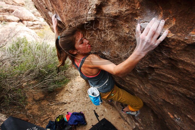 Bouldering in Hueco Tanks on 11/22/2018 with Blue Lizard Climbing and Yoga

Filename: SRM_20181122_1246120.jpg
Aperture: f/5.6
Shutter Speed: 1/400
Body: Canon EOS-1D Mark II
Lens: Canon EF 16-35mm f/2.8 L