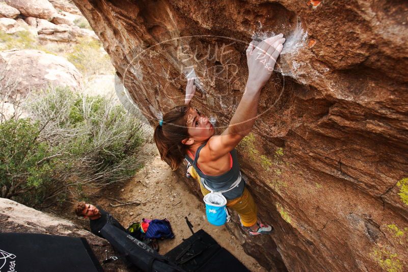 Bouldering in Hueco Tanks on 11/22/2018 with Blue Lizard Climbing and Yoga
Filename: SRM_20181122_1246231.jpg
Aperture: f/5.6
Shutter Speed: 1/500
Body: Canon EOS-1D Mark II
Lens: Canon EF 16-35mm f/2.8 L