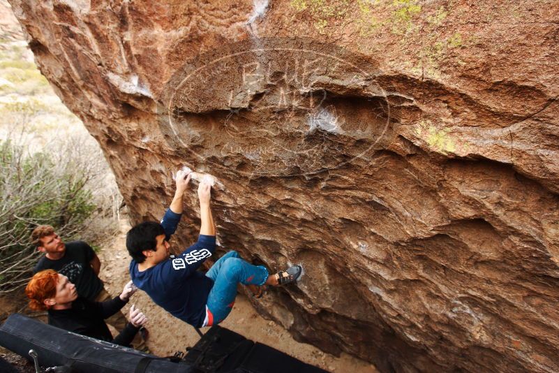 Bouldering in Hueco Tanks on 11/22/2018 with Blue Lizard Climbing and Yoga
Filename: SRM_20181122_1256340.jpg
Aperture: f/5.6
Shutter Speed: 1/400
Body: Canon EOS-1D Mark II
Lens: Canon EF 16-35mm f/2.8 L