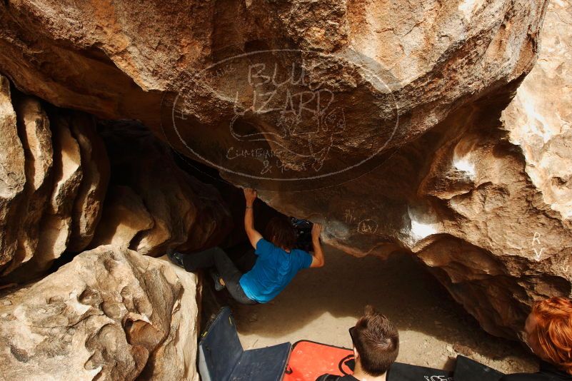 Bouldering in Hueco Tanks on 11/22/2018 with Blue Lizard Climbing and Yoga
Filename: SRM_20181122_1317490.jpg
Aperture: f/5.6
Shutter Speed: 1/1000
Body: Canon EOS-1D Mark II
Lens: Canon EF 16-35mm f/2.8 L