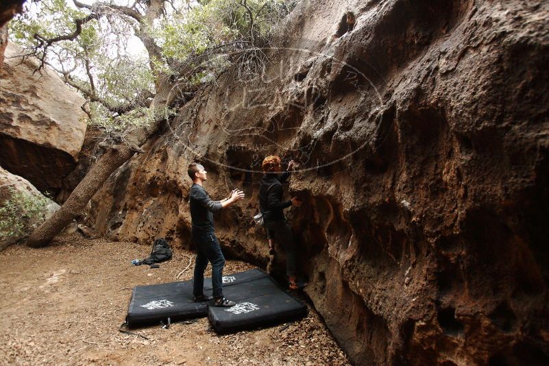Bouldering in Hueco Tanks on 11/22/2018 with Blue Lizard Climbing and Yoga
Filename: SRM_20181122_1513120.jpg
Aperture: f/4.0
Shutter Speed: 1/200
Body: Canon EOS-1D Mark II
Lens: Canon EF 16-35mm f/2.8 L