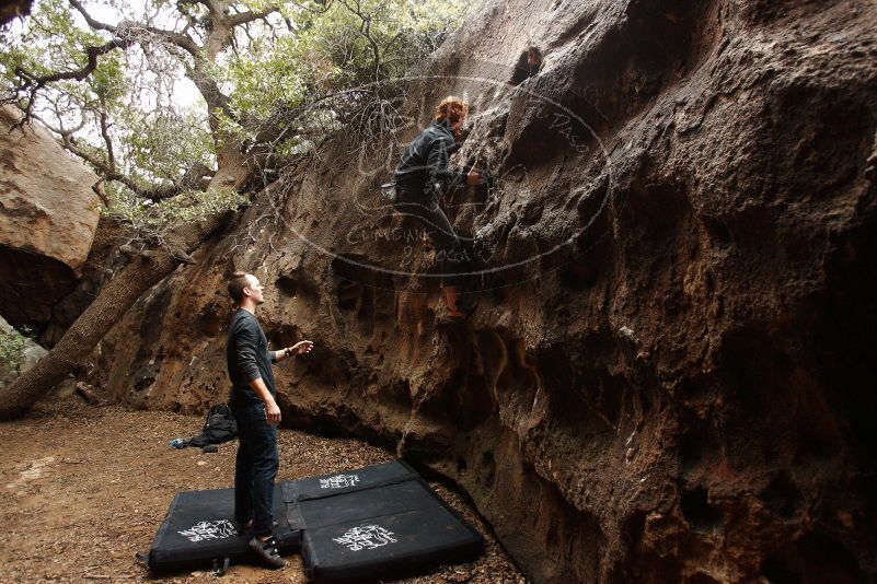 Bouldering in Hueco Tanks on 11/22/2018 with Blue Lizard Climbing and Yoga
Filename: SRM_20181122_1513410.jpg
Aperture: f/4.0
Shutter Speed: 1/250
Body: Canon EOS-1D Mark II
Lens: Canon EF 16-35mm f/2.8 L