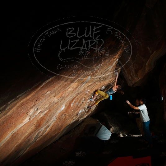 

Filename: SRM_20181122_1555560.jpg
Aperture: f/8.0
Shutter Speed: 1/250
Body: Canon EOS-1D Mark II
Lens: Canon EF 16-35mm f/2.8 L